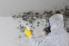 Best Comprehensive Air Testing for Mold Contaminants  in Burns Flat, OK